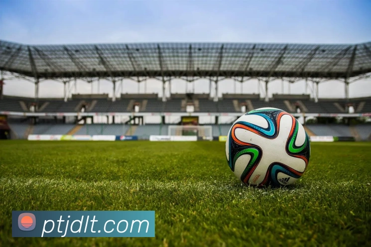 星空体育，星空体育在线官网平台生态图